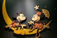 pic for mickey n minnie 480x320